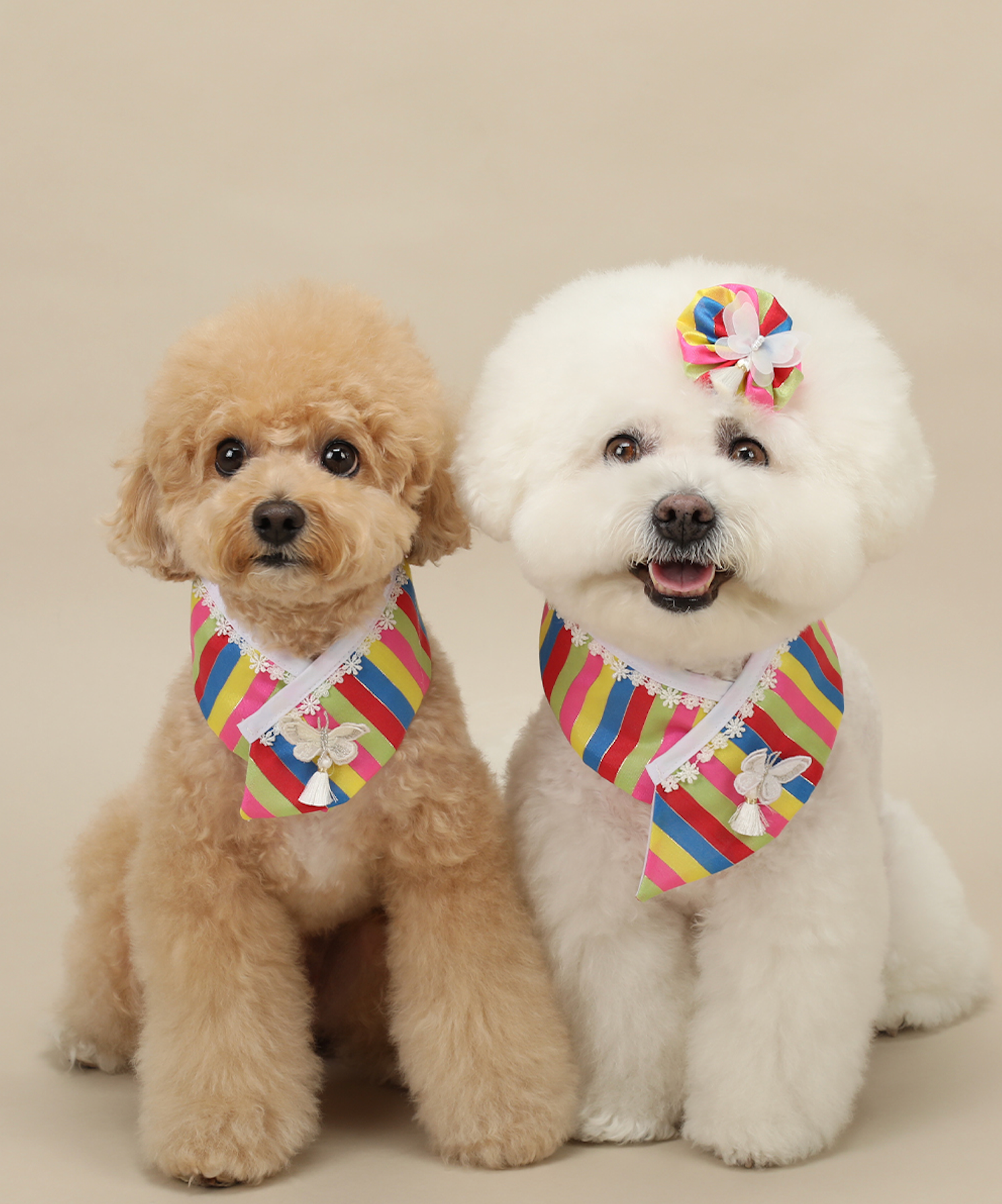Butterfly Saekdong Pet Hanbok Cape