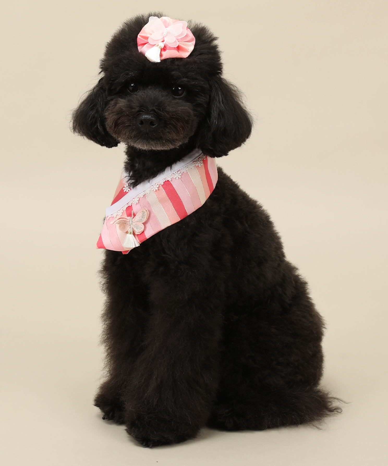 Butterfly Saekdong Pet Hanbok Cape