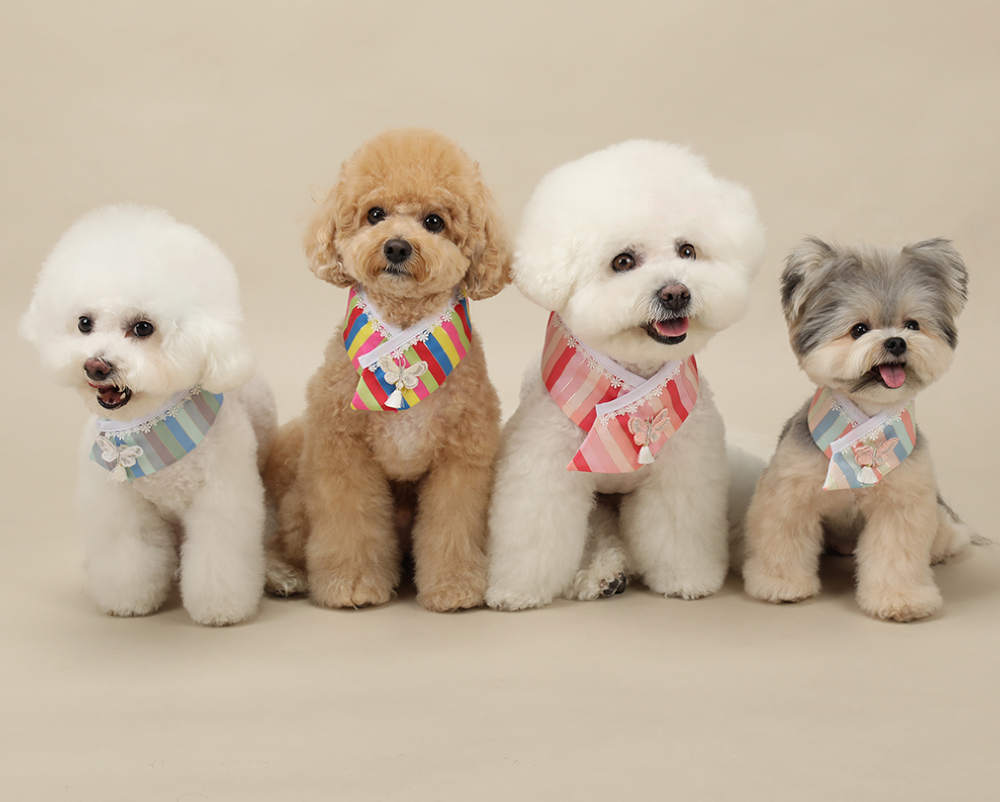 Butterfly Saekdong Pet Hanbok Cape