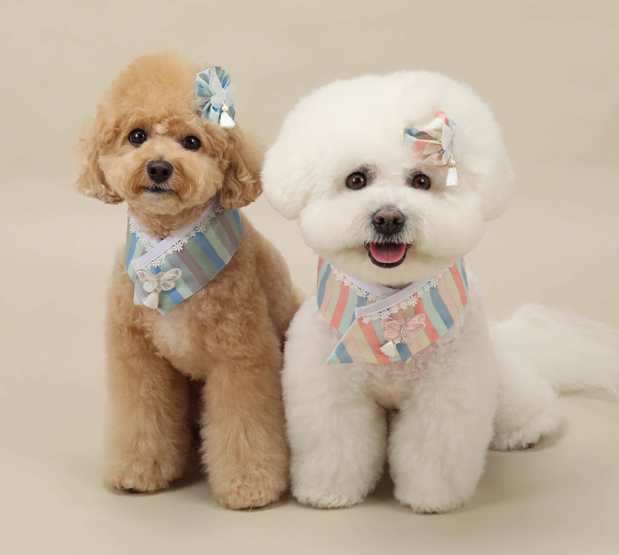 Butterfly Saekdong Pet Hanbok Cape