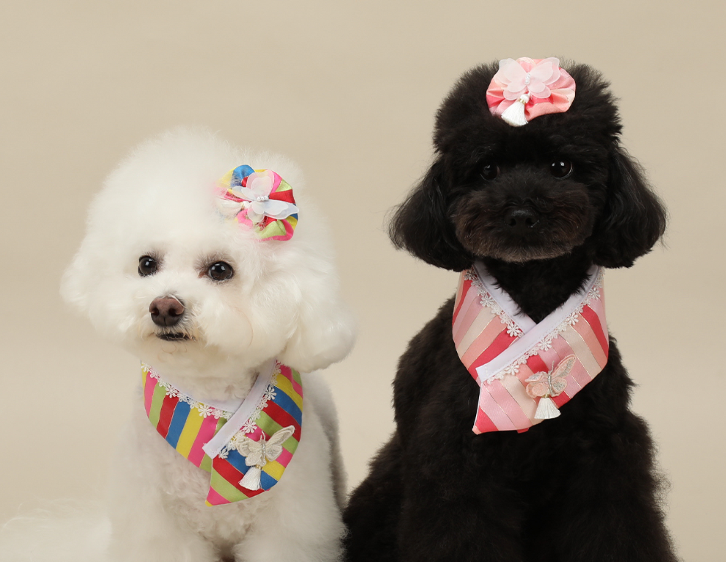 Butterfly Saekdong Pet Hanbok Cape