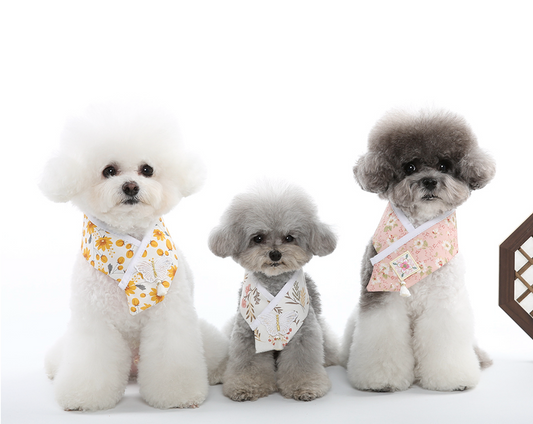 Floral Saekdong Pet Hanbok Cape