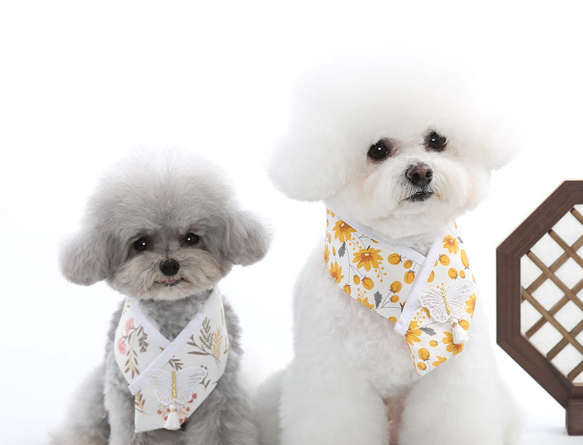 Floral Saekdong Pet Hanbok Cape