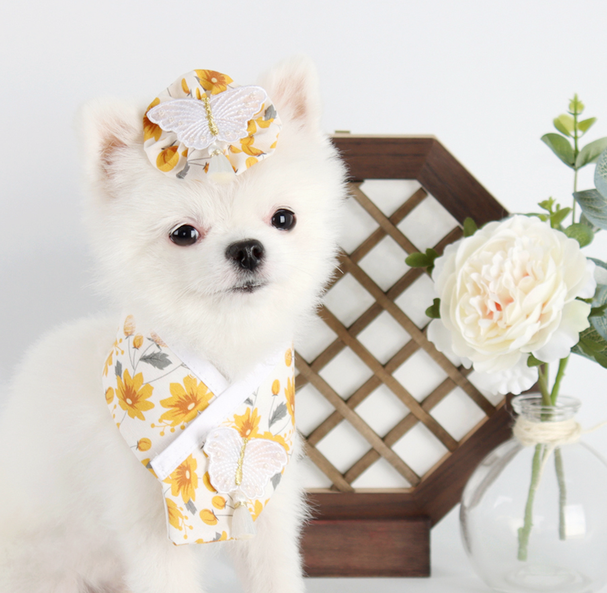 Floral Saekdong pet hanbok cape with yellow flower patterns and butterfly details by NKpup