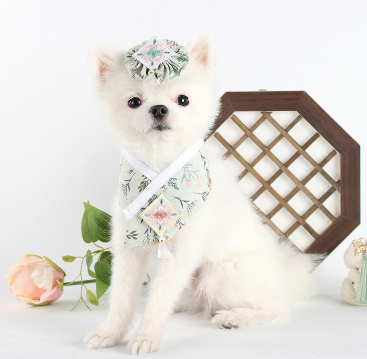 White dog wearing a floral Saekdong pet hanbok cape with a matching headpiece.