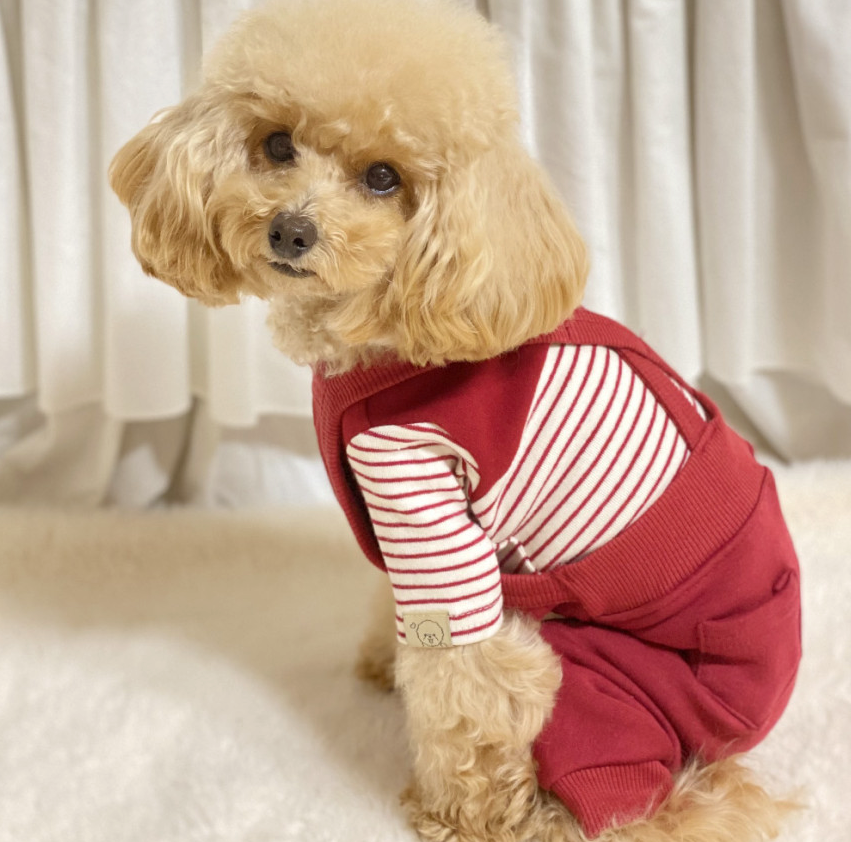 NKpup red fleece dog suspender overalls with a red and white striped shirt