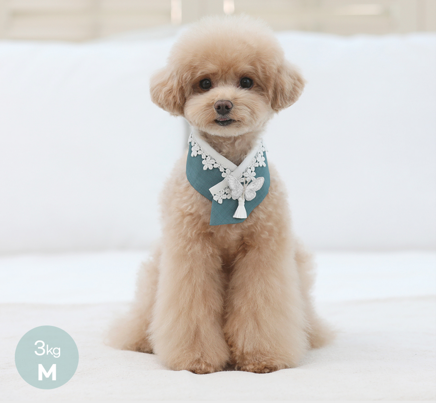 Butterfly Pet Hanbok Cape