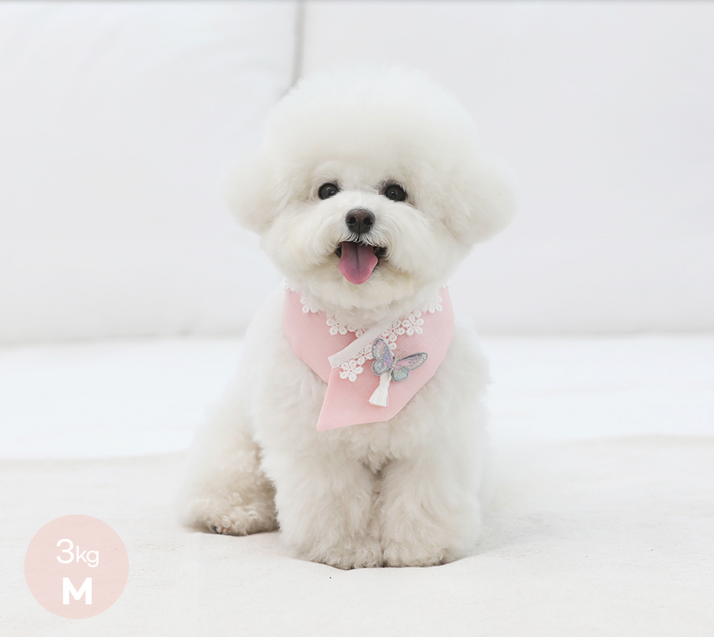 Butterfly Pet Hanbok Cape