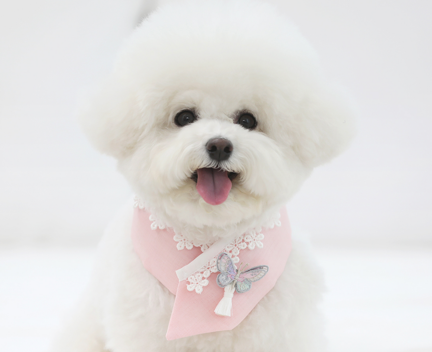 Butterfly Pet Hanbok Cape