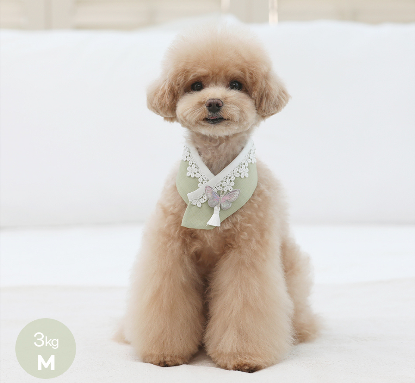 Butterfly Pet Hanbok Cape