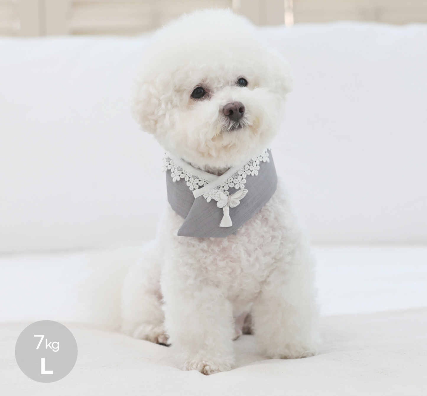 Butterfly Pet Hanbok Cape