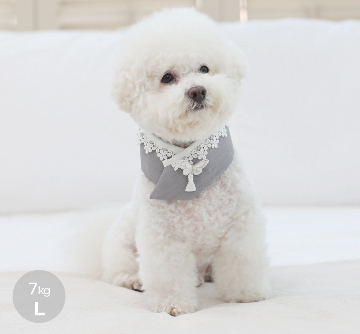 Butterfly Pet Hanbok Cape