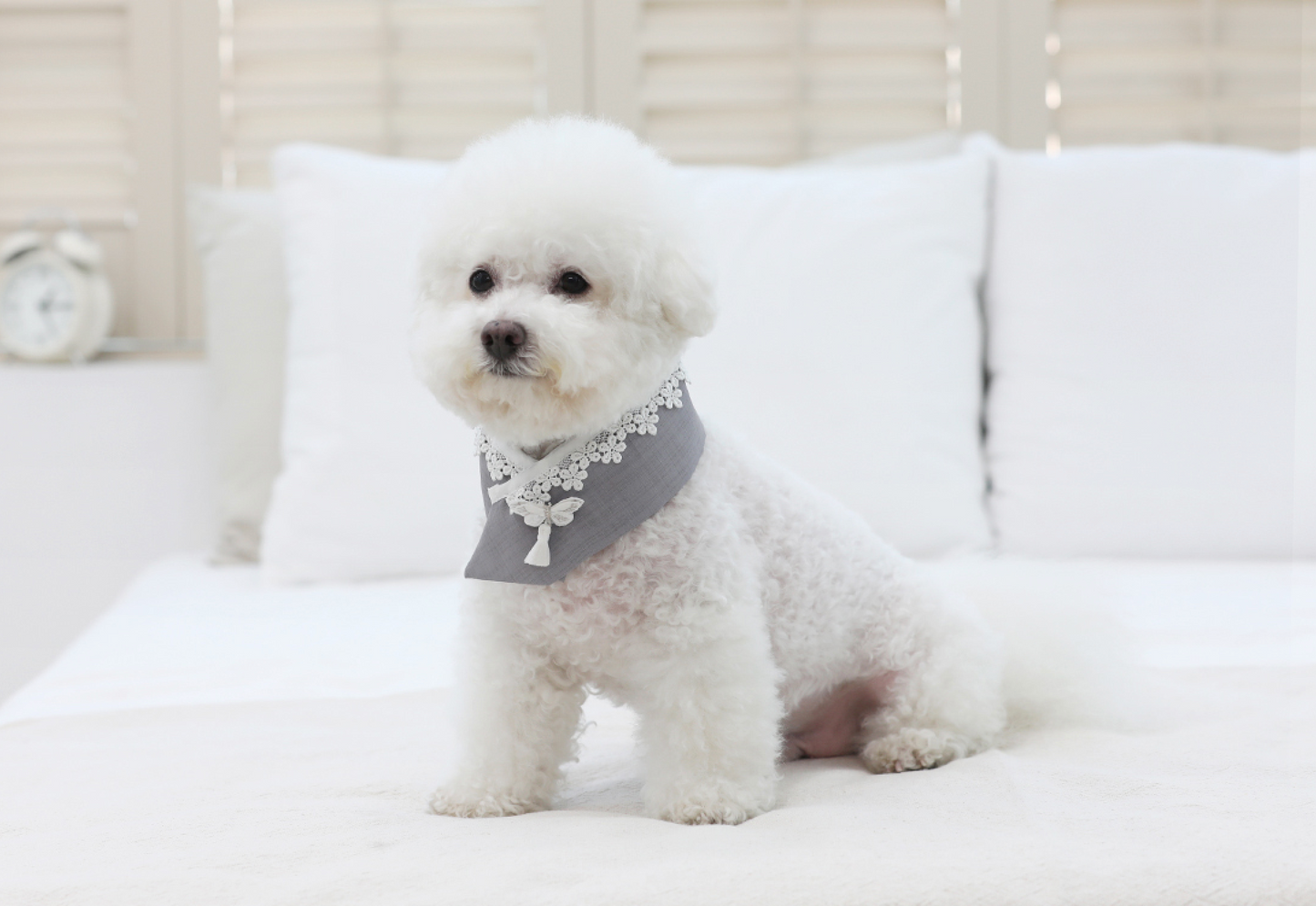 Butterfly Pet Hanbok Cape