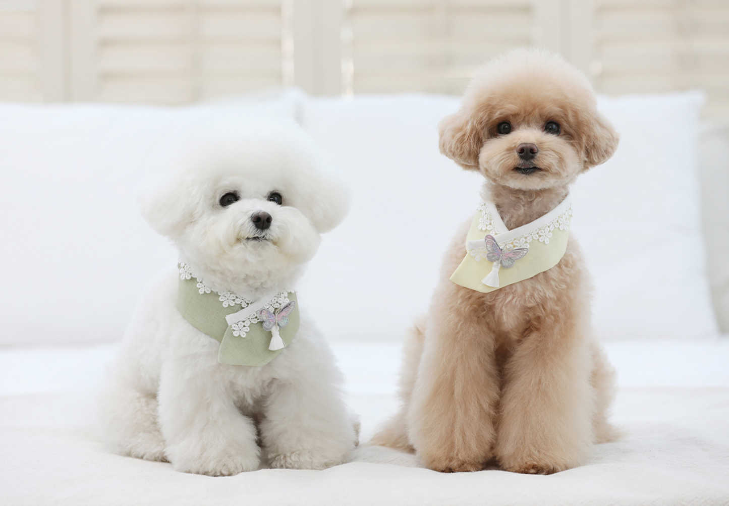Butterfly Pet Hanbok Cape