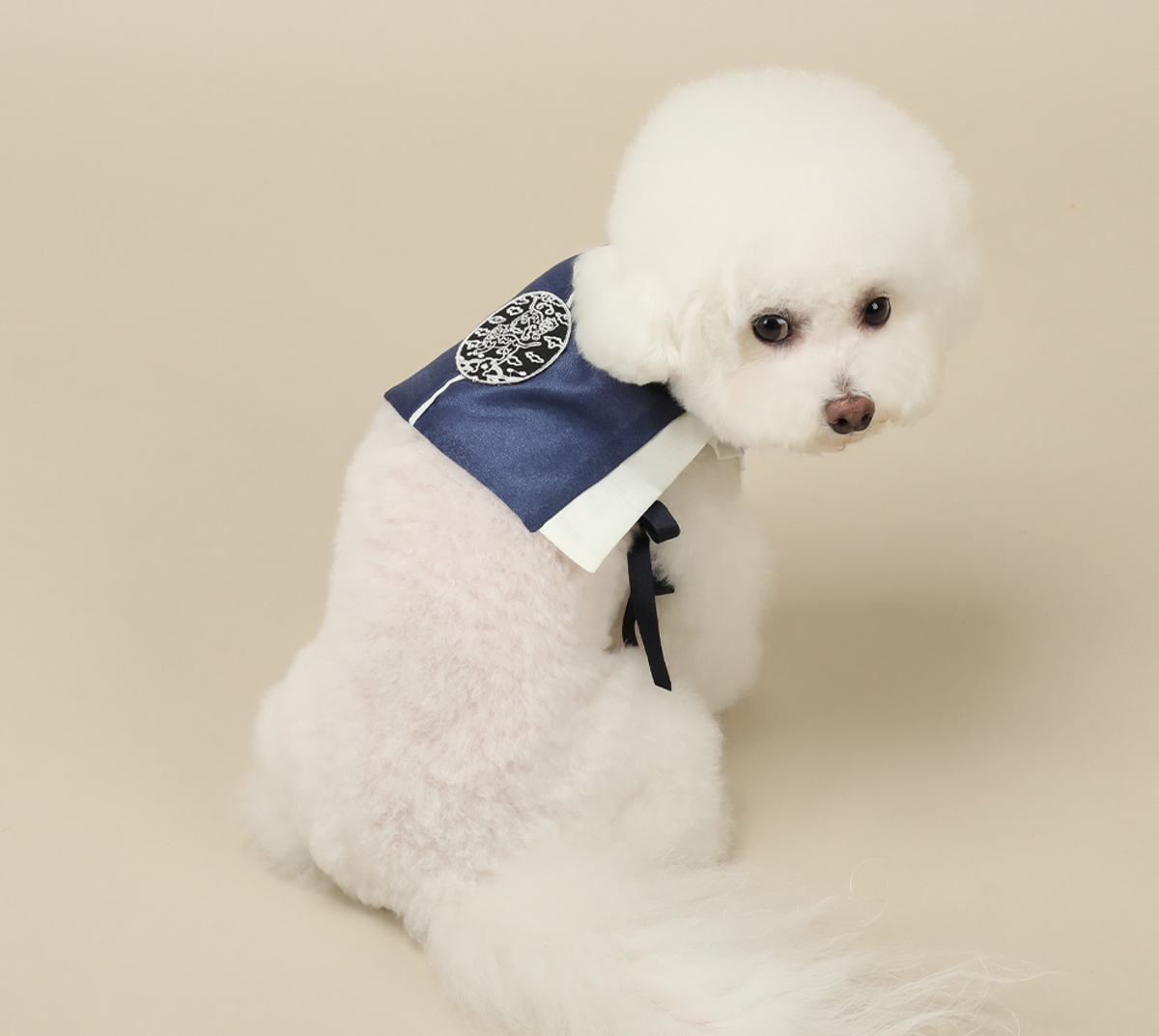 Navy blue pet hanbok baeja vest with white trim and traditional circular emblem