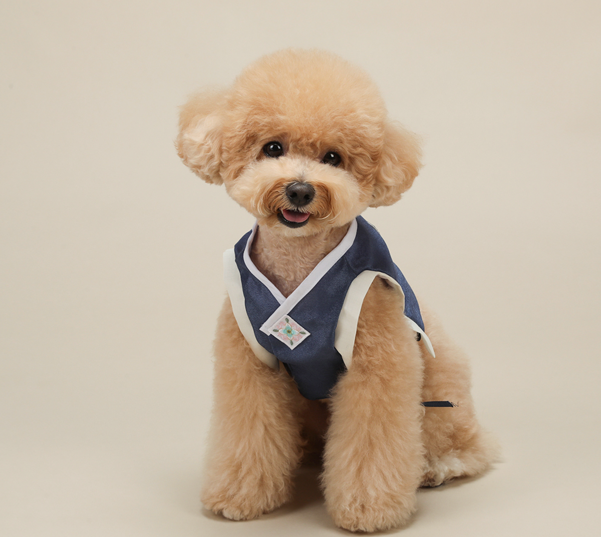 Navy blue pet hanbok baeja vest with white trim and floral detail