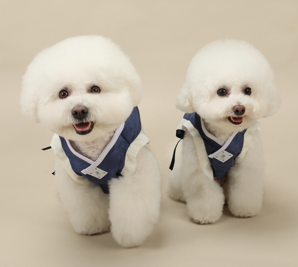 Navy Baeja vest pet hanbok with white trim and decorative details.