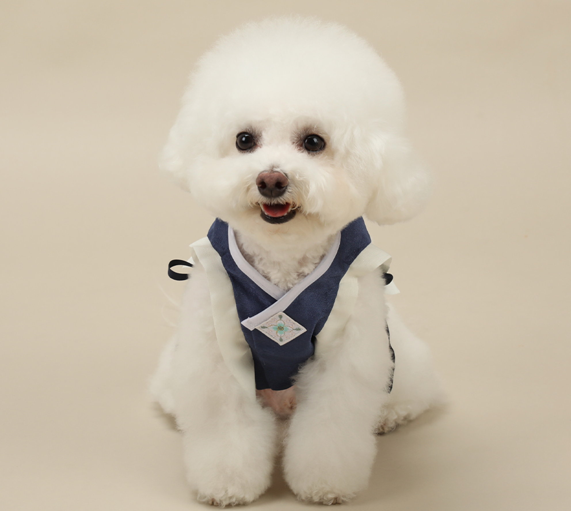 Navy Baeja Vest pet Hanbok