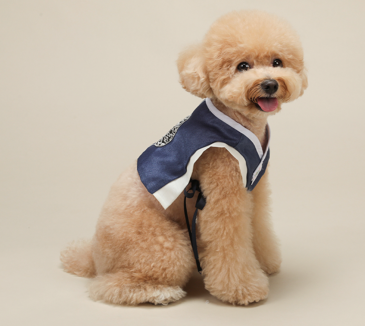Navy blue Baeja pet hanbok vest with white trim by NKpup