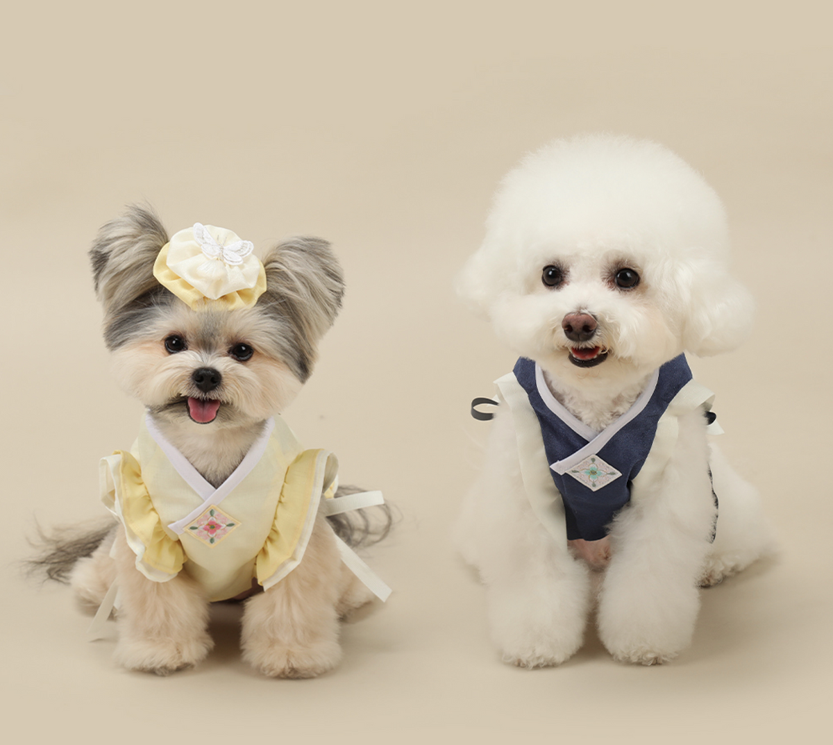 Two small dogs wearing traditional Korean pet hanboks, one in yellow and one in navy blue.