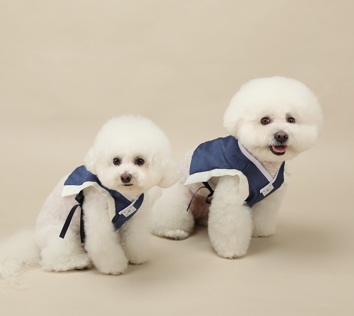 Navy Baeja vest pet hanbok with white trim