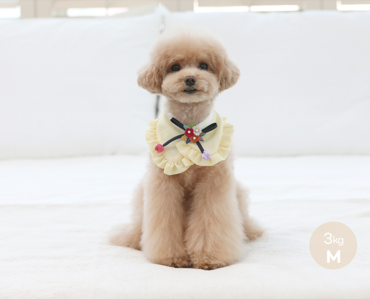 Yellow ruffle pet hanbok cape with floral embroidery and black ribbon detail