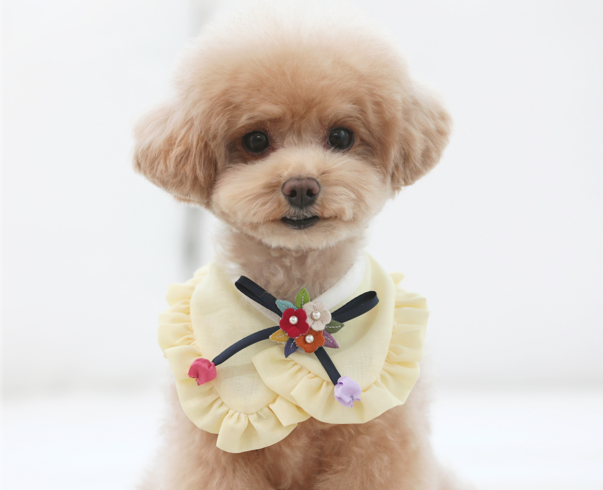 Pale yellow ruffle pet hanbok cape with floral embroidery and decorative tassels