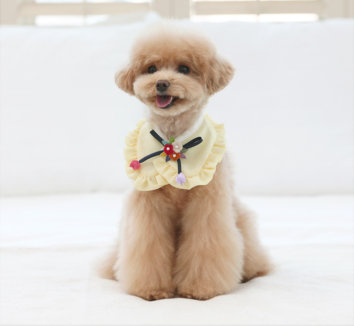 Ruffle Pet Hanbok Cape