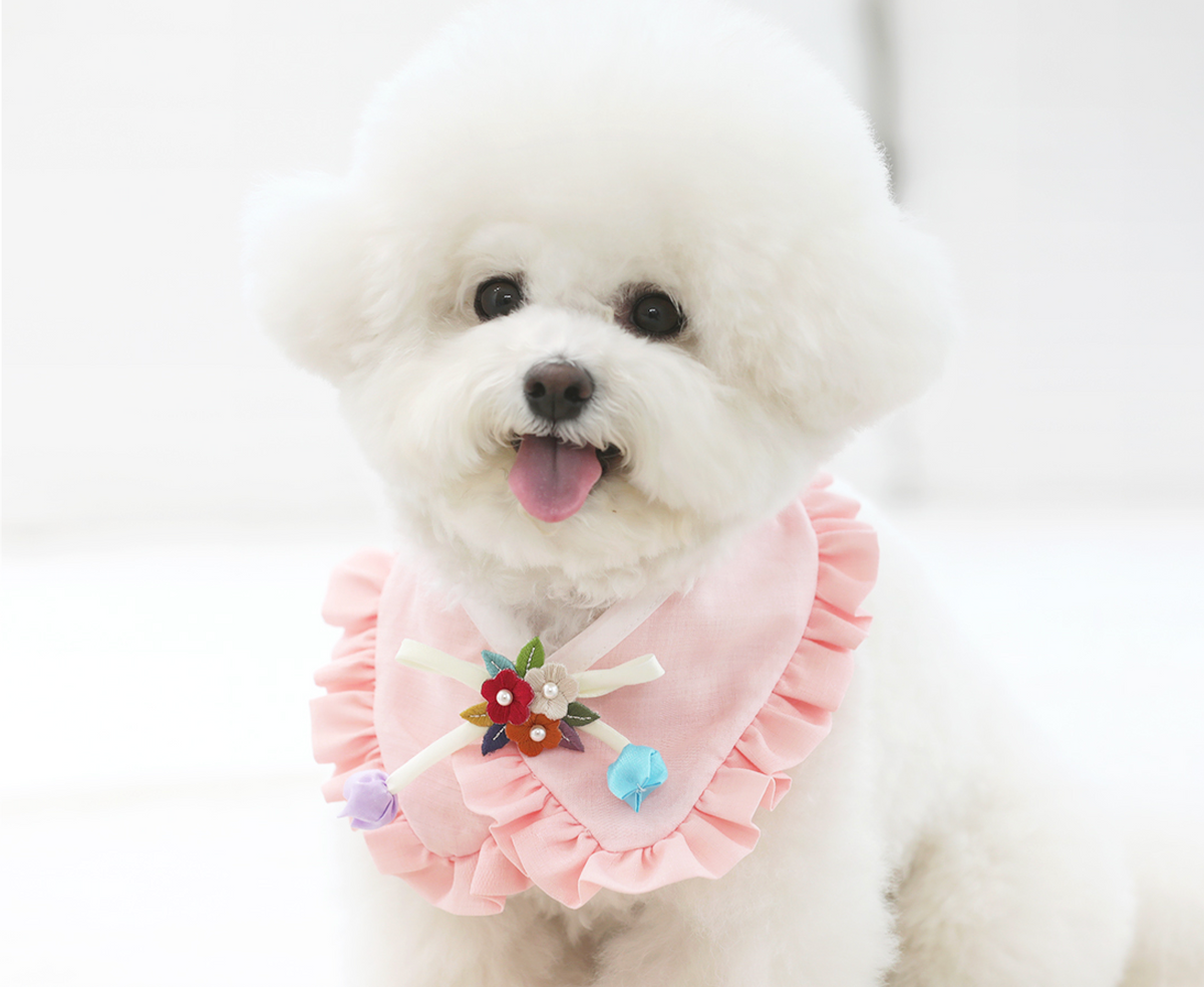 NKpup pink Ruffle Pet Hanbok Cape with floral embroidery and decorative bow.
