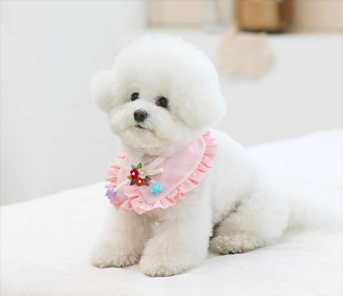 Ruffle Pet Hanbok Cape