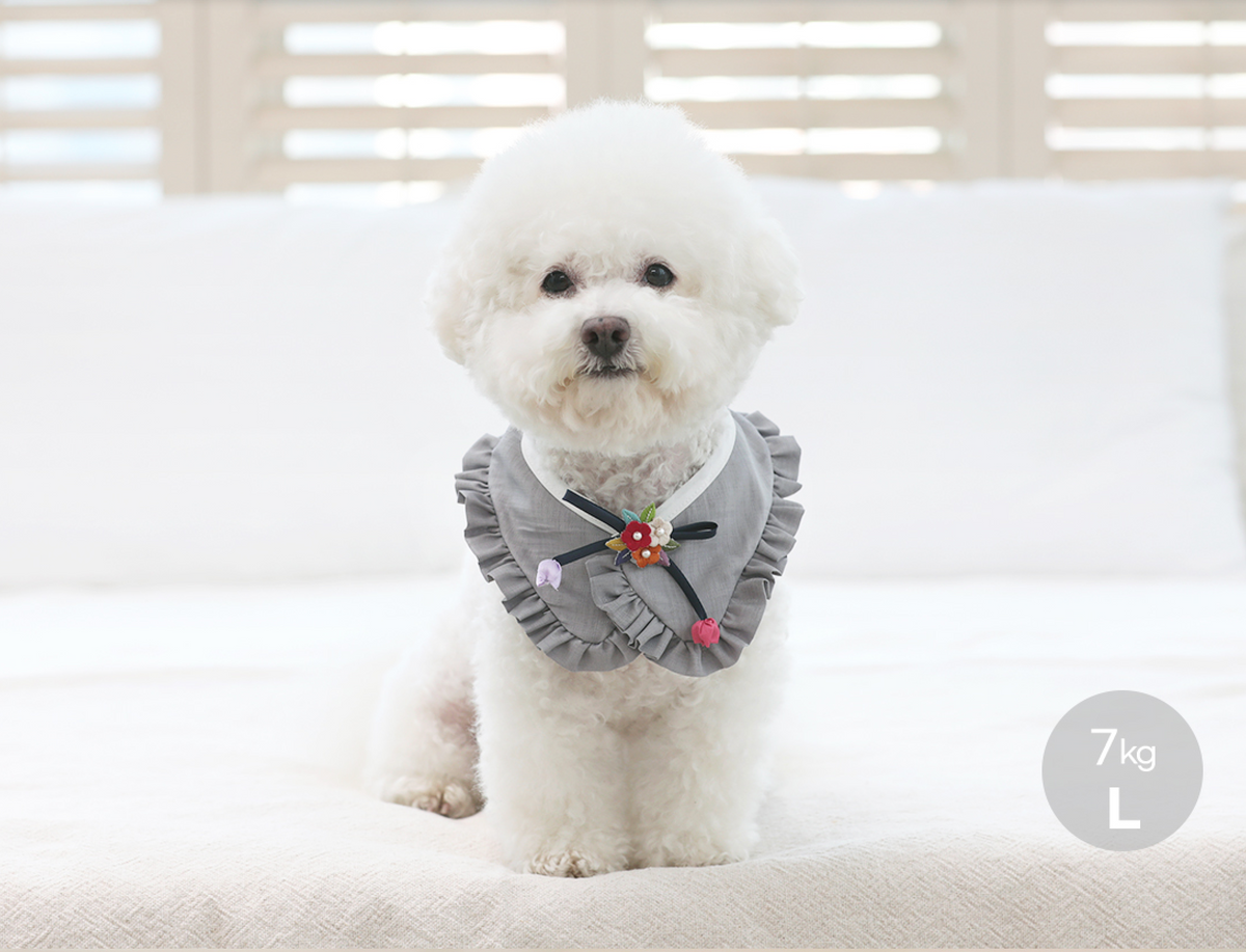 NKpup grey ruffle pet hanbok cape with colorful floral embellishments