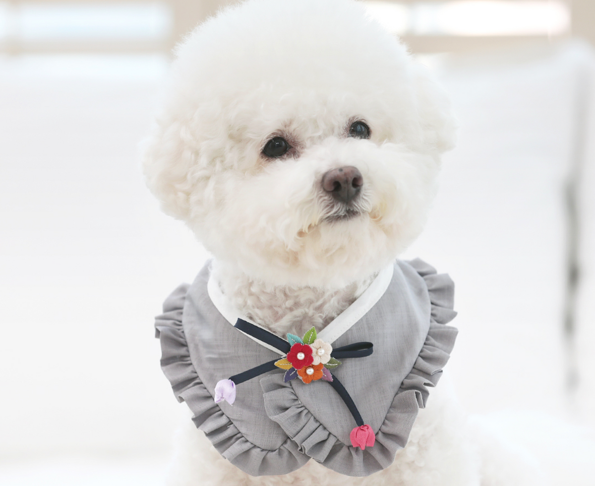 NKpup grey ruffle pet hanbok cape with colorful floral embroidery and traditional norigae tassel
