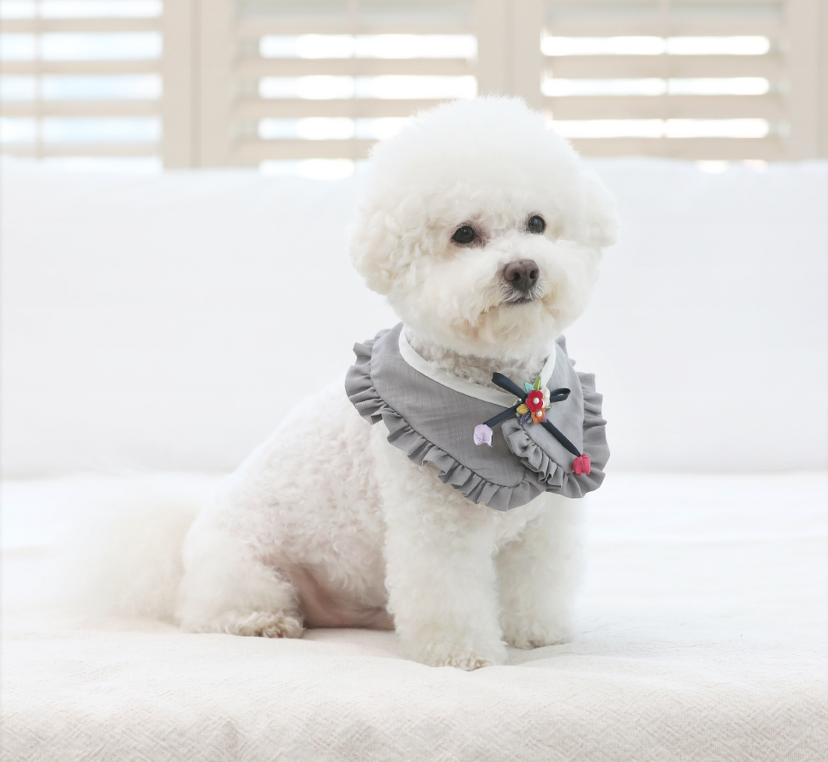 Grey NKpup Ruffle Pet Hanbok Cape with traditional flower ornament details.