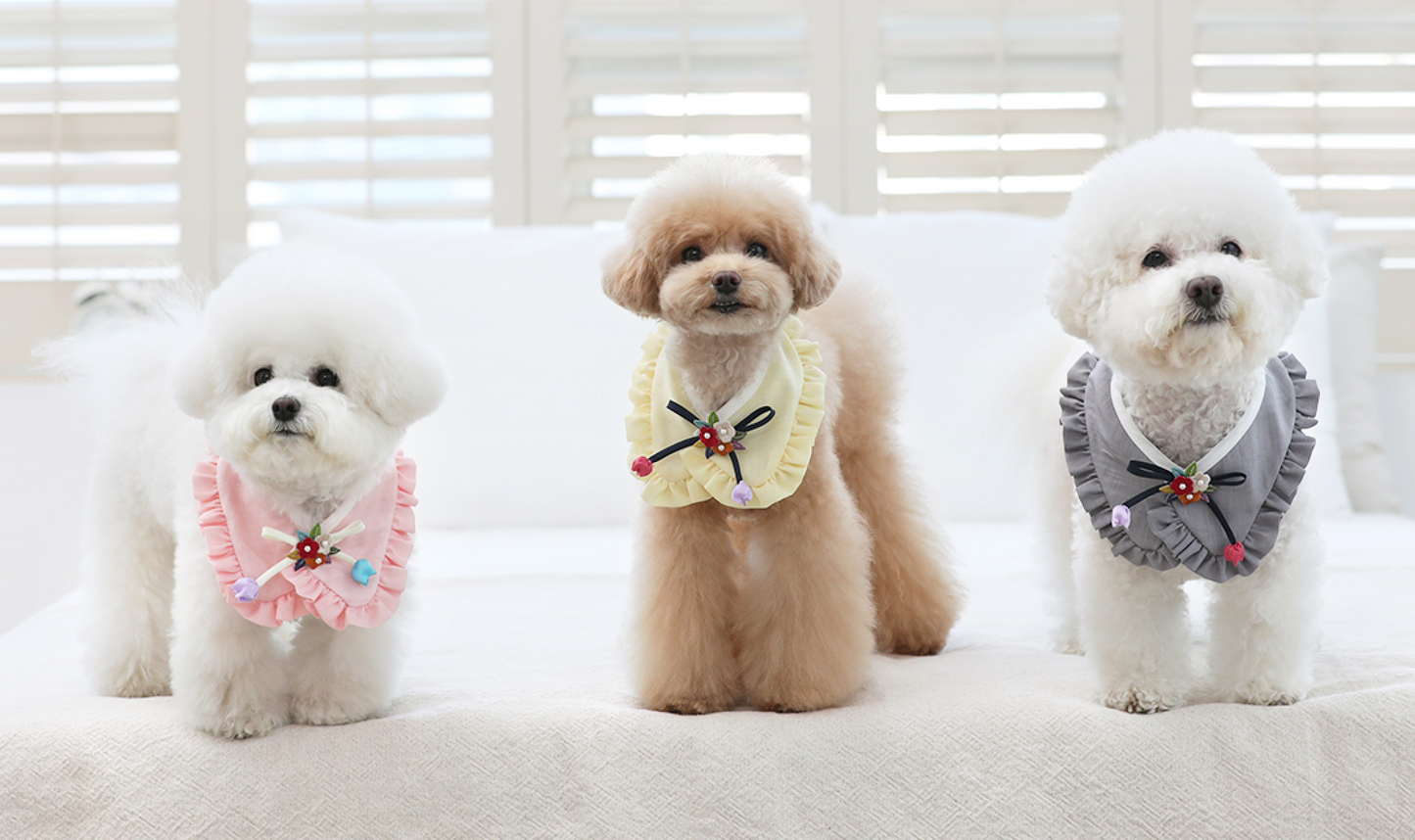 Ruffle Pet Hanbok Cape