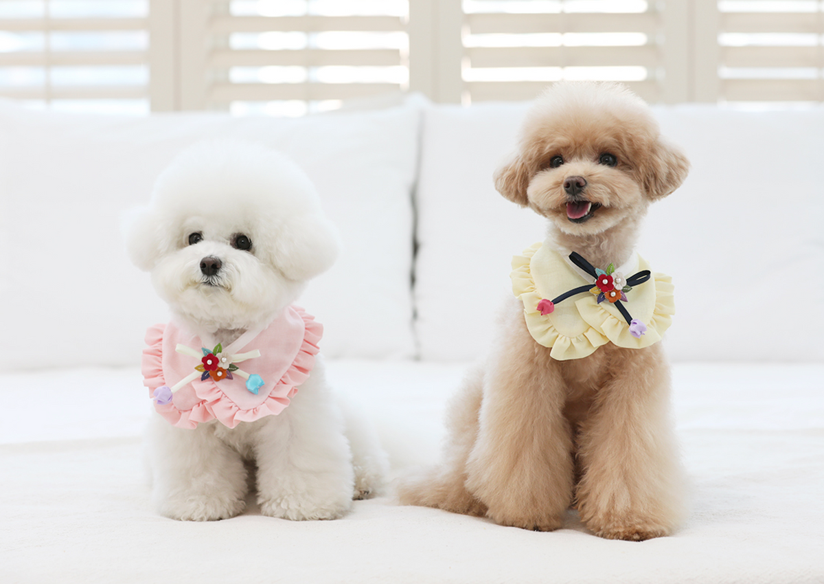 Ruffle Pet Hanbok Cape