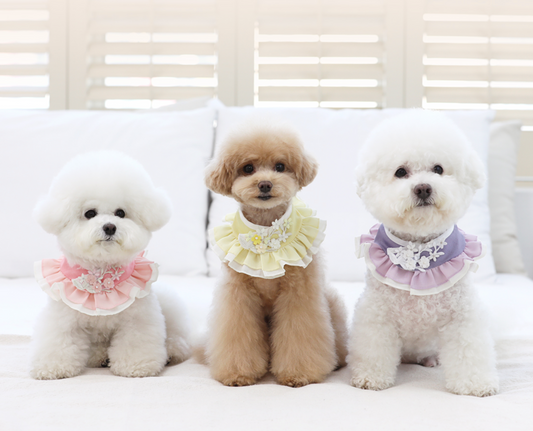 Floral Ruffle Pet Hanbok Cape