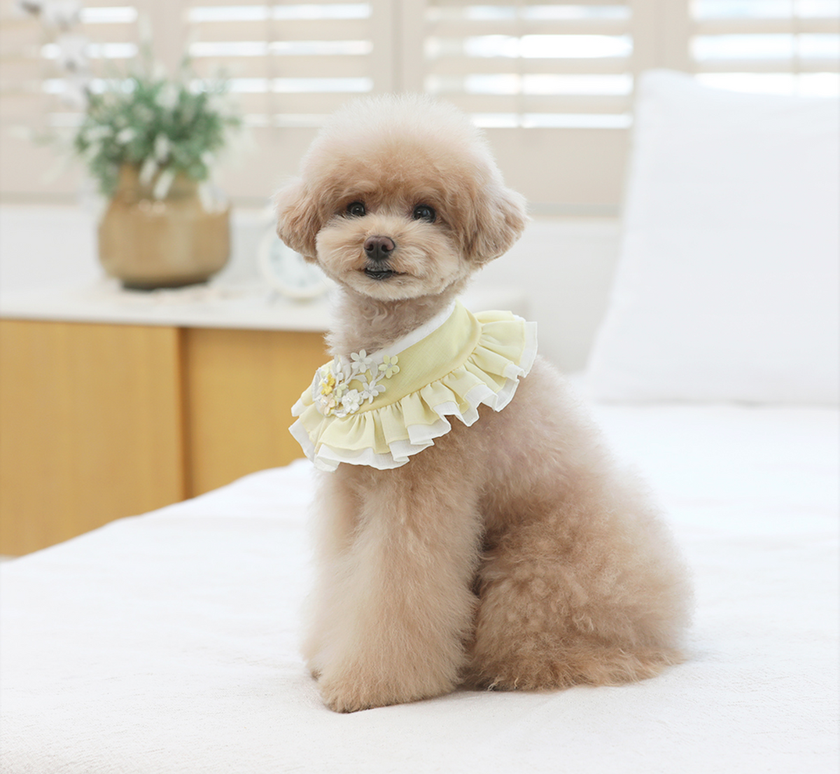 Yellow floral ruffle pet hanbok cape by NKpup
