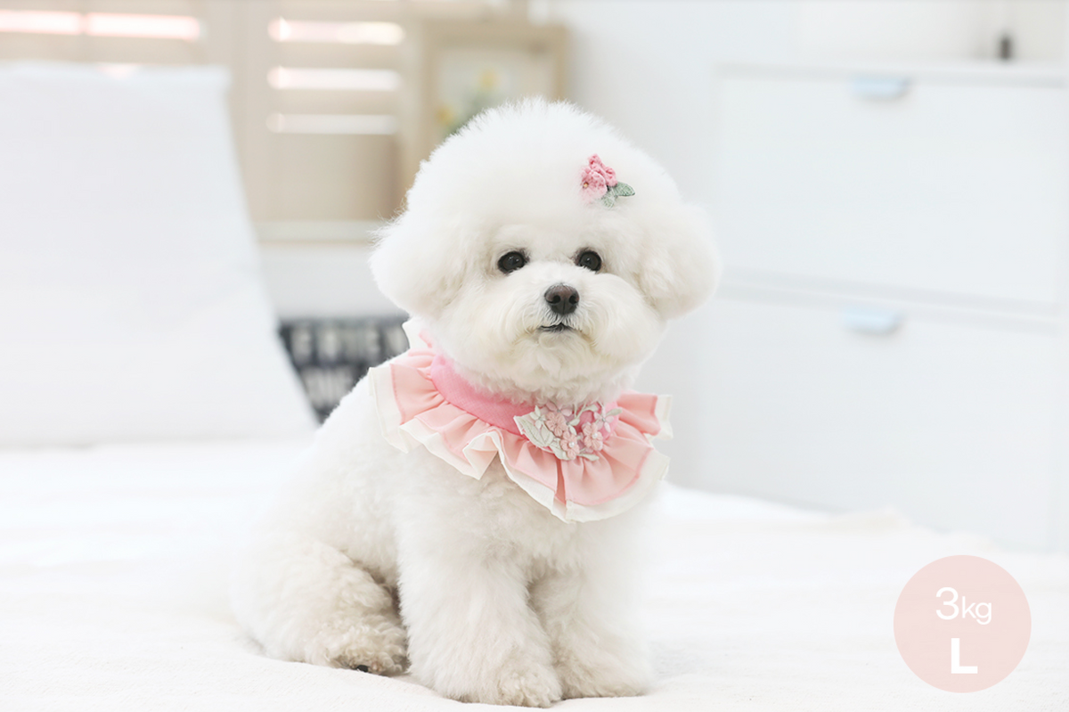 Pink floral ruffle pet hanbok cape by NKpup