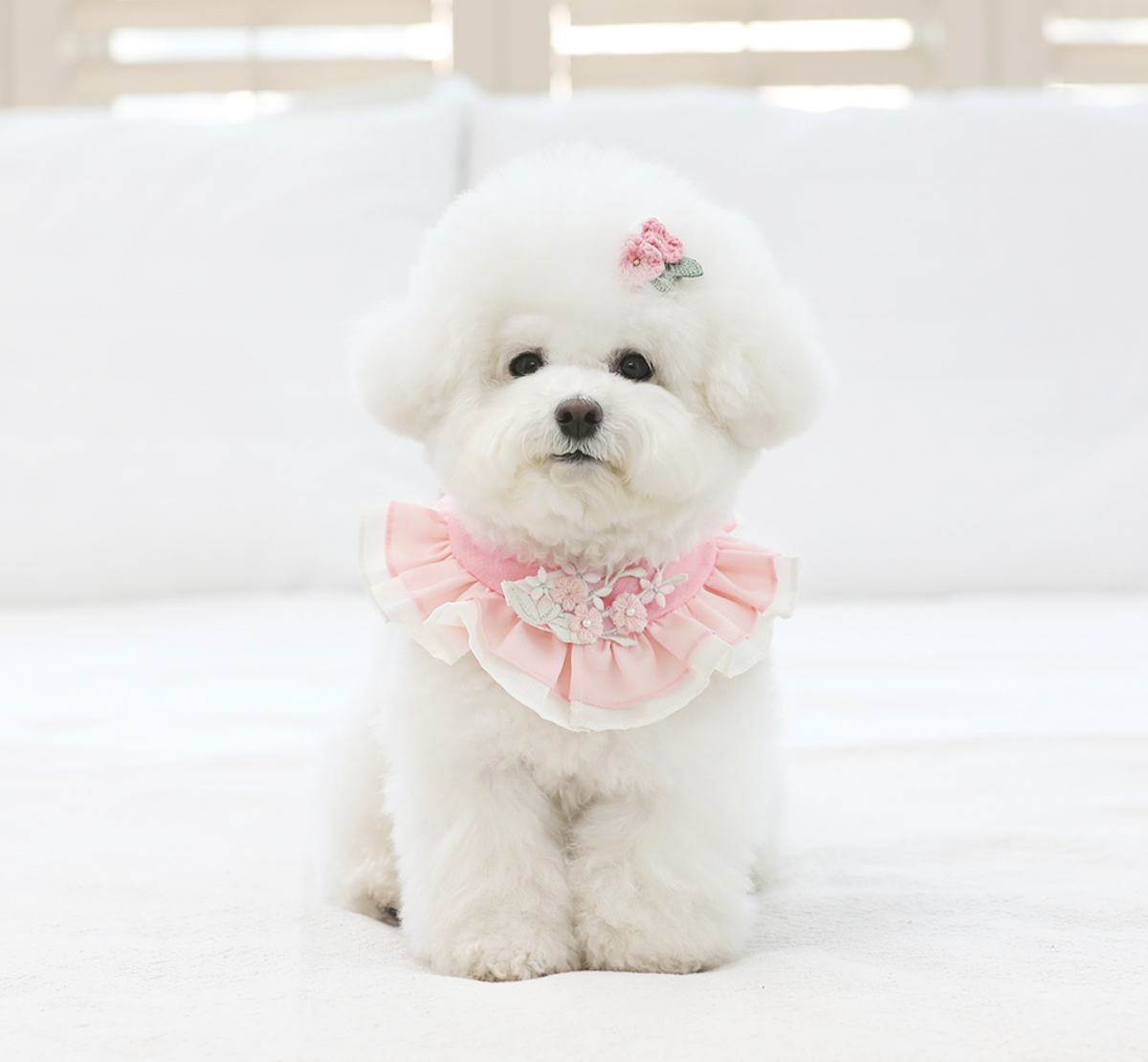 Floral Ruffle Pet Hanbok Cape