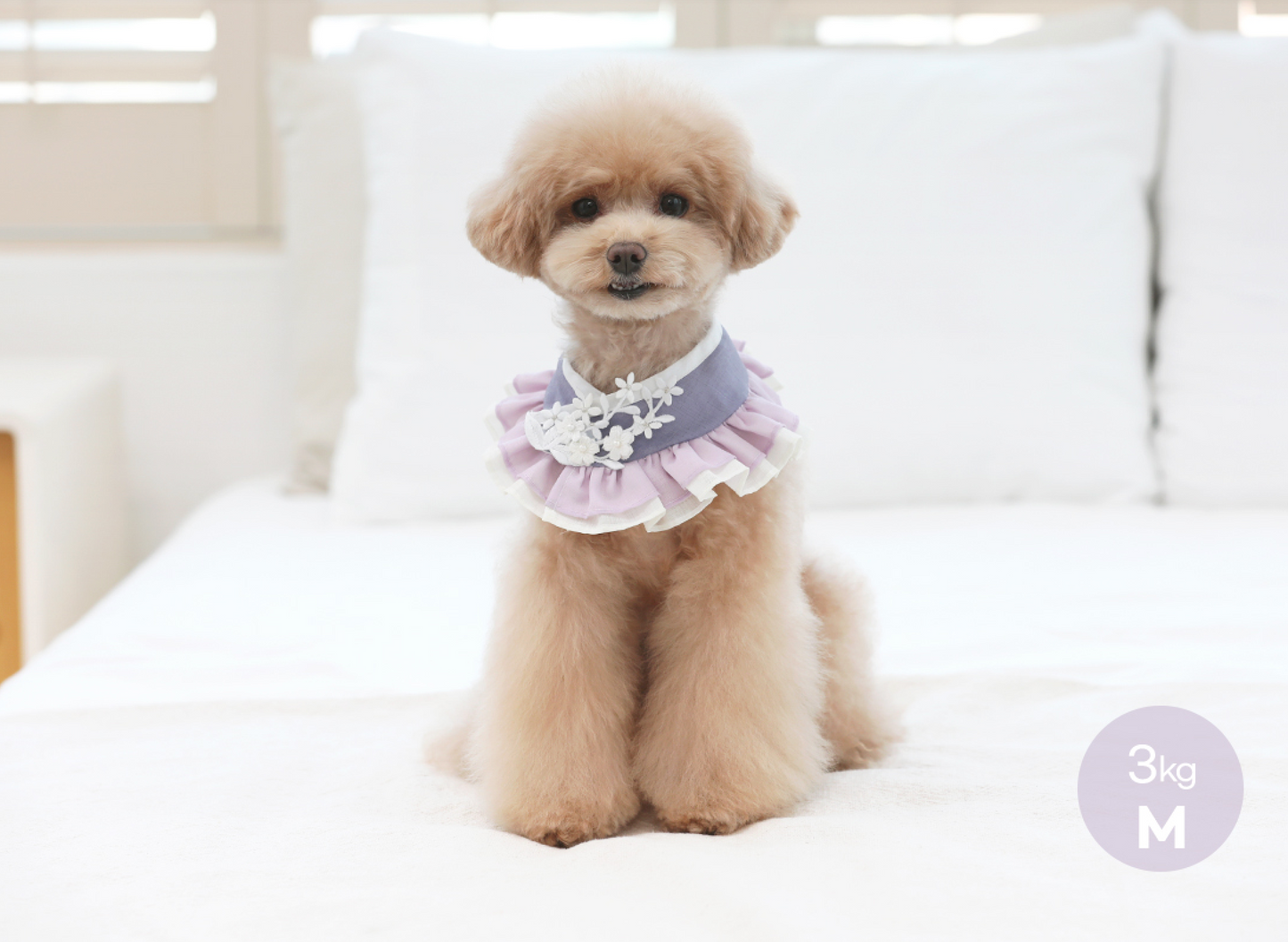 Floral Ruffle Pet Hanbok Cape