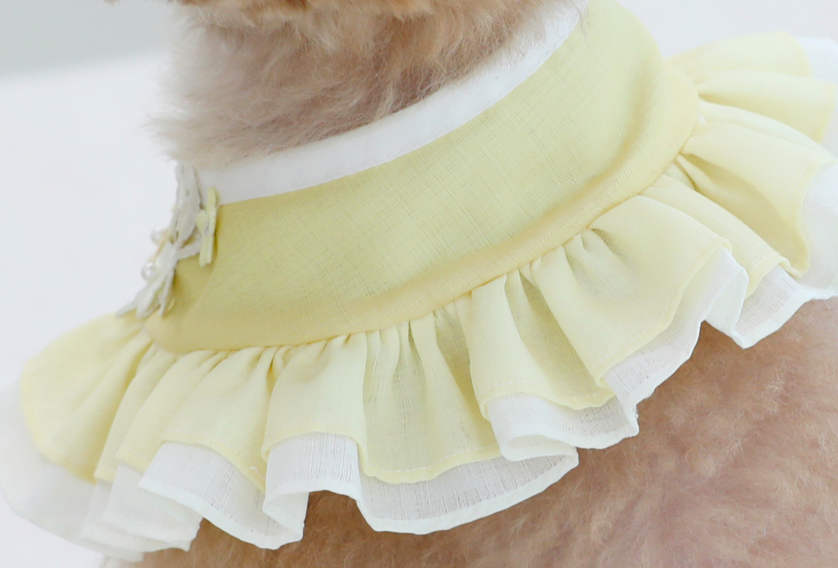 Yellow floral ruffle pet hanbok cape by NKpup