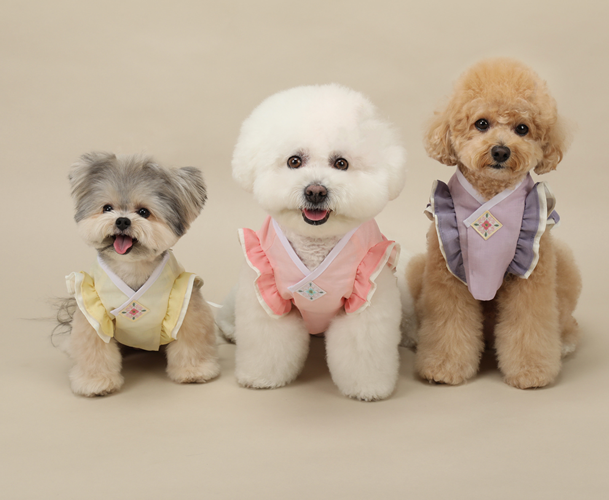Floral Vest Pet Hanbok