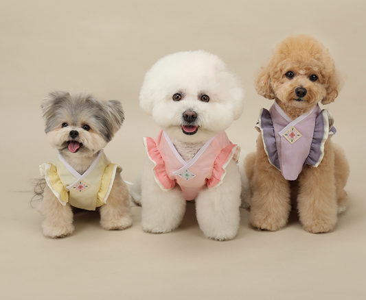 Floral Vest Pet Hanbok