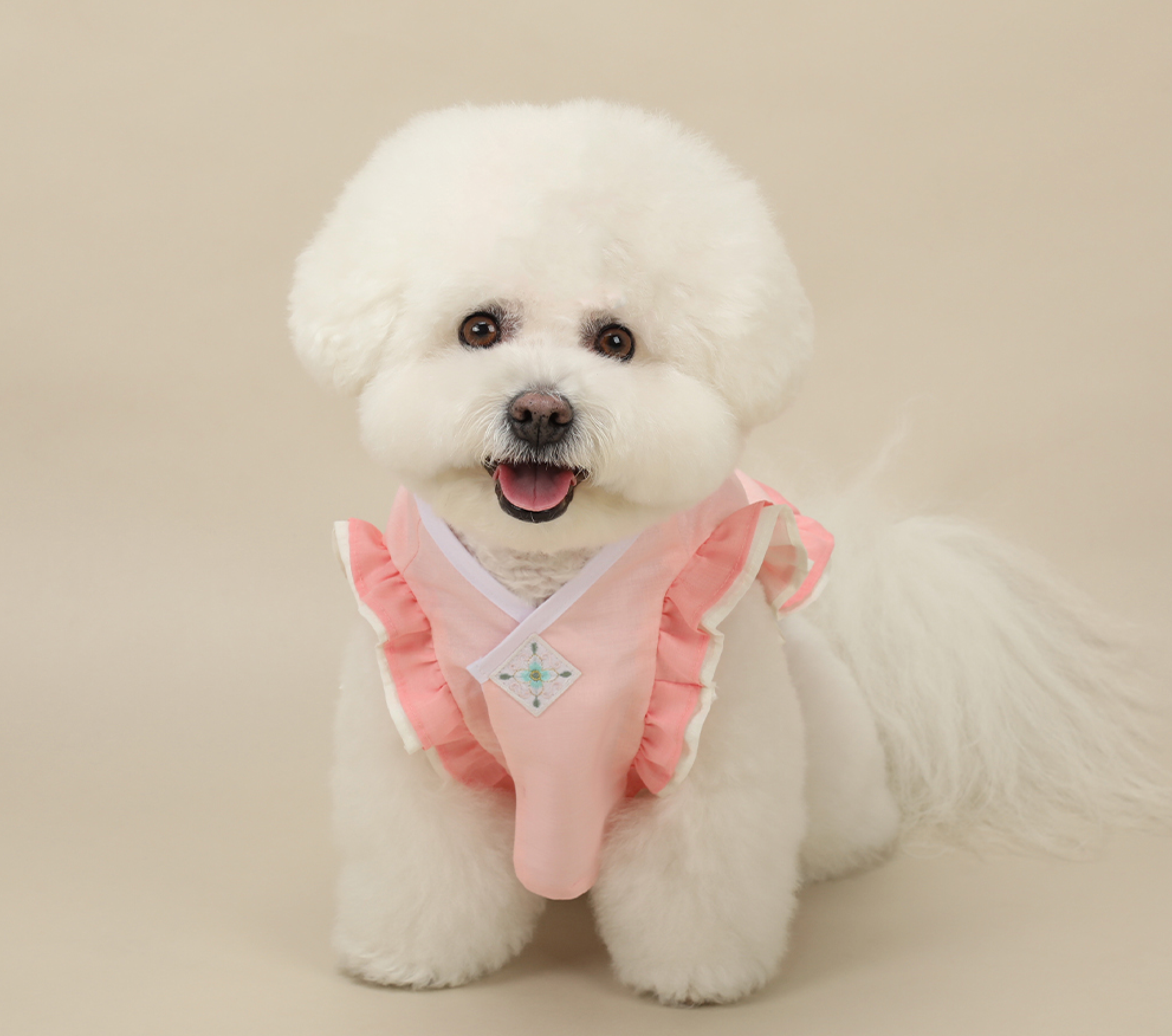 Floral Vest Pet Hanbok