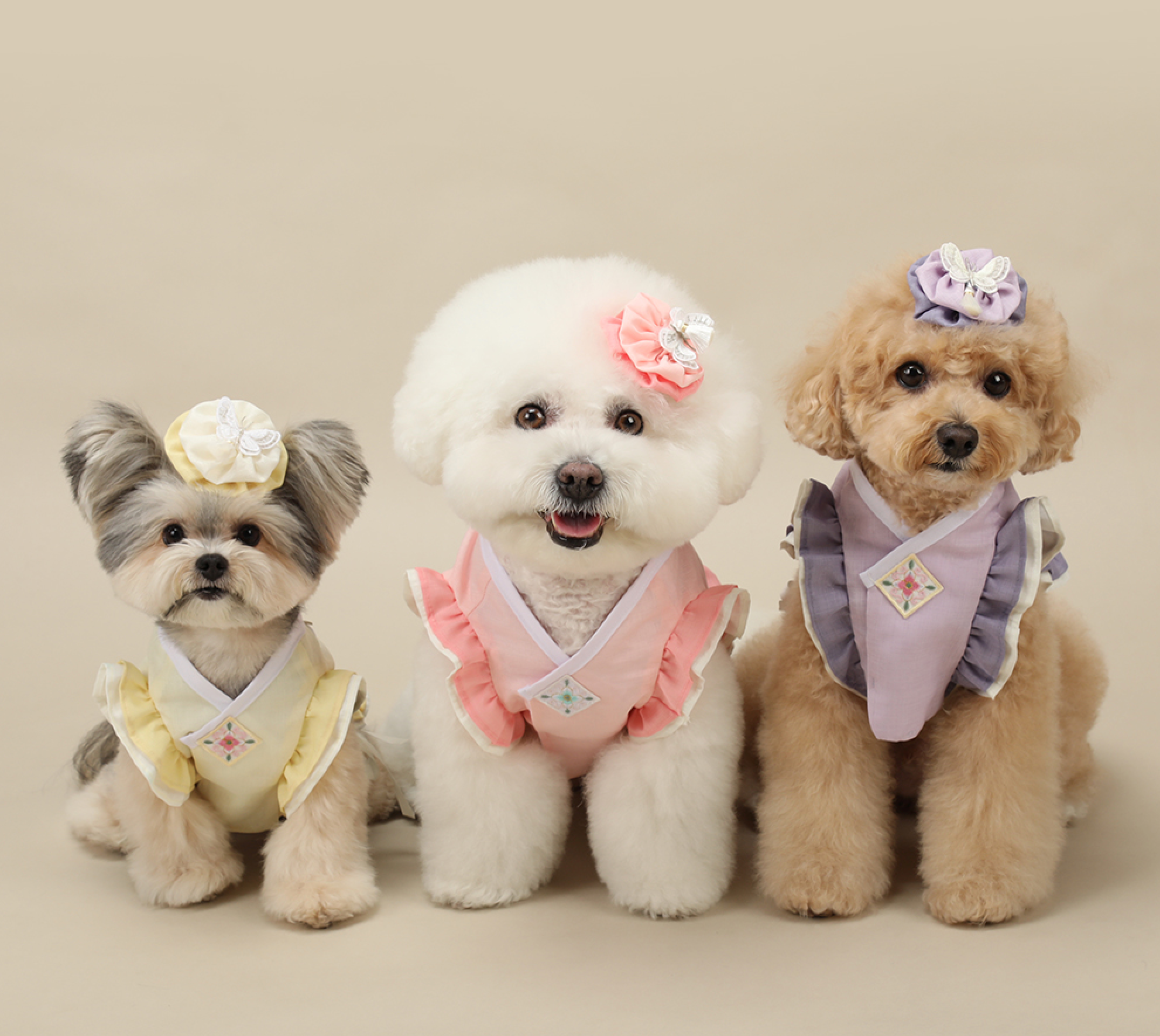 Floral Vest Pet Hanbok