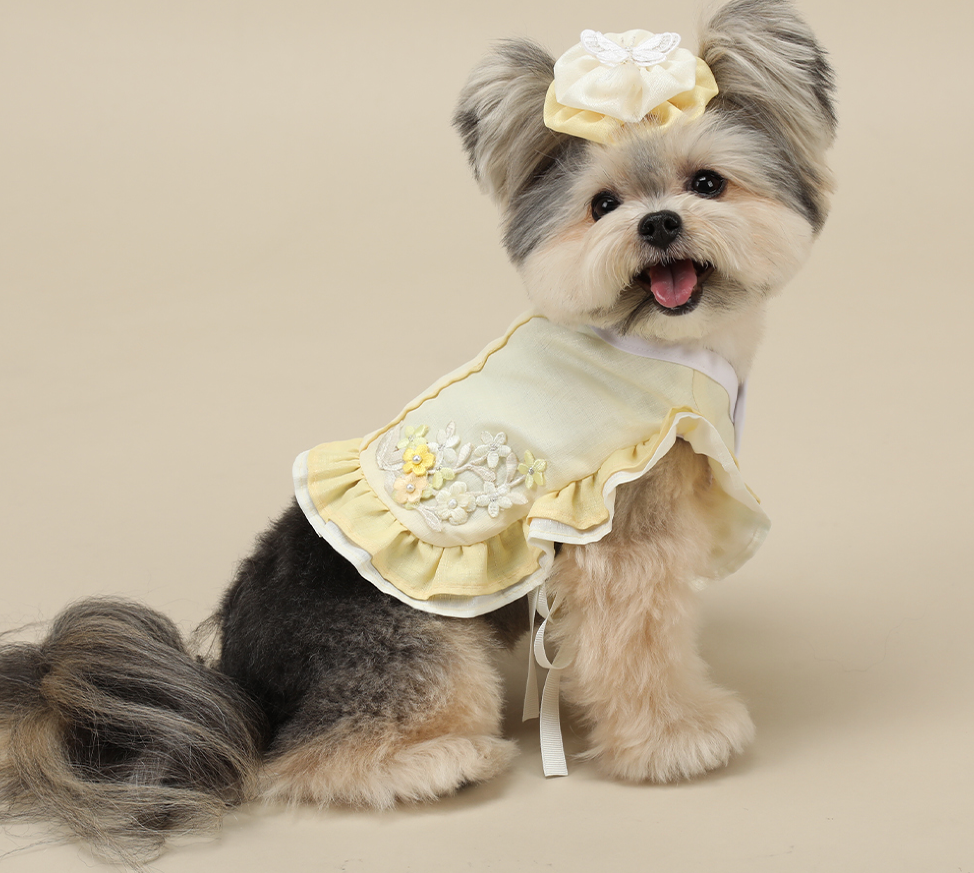 Floral Vest Pet Hanbok