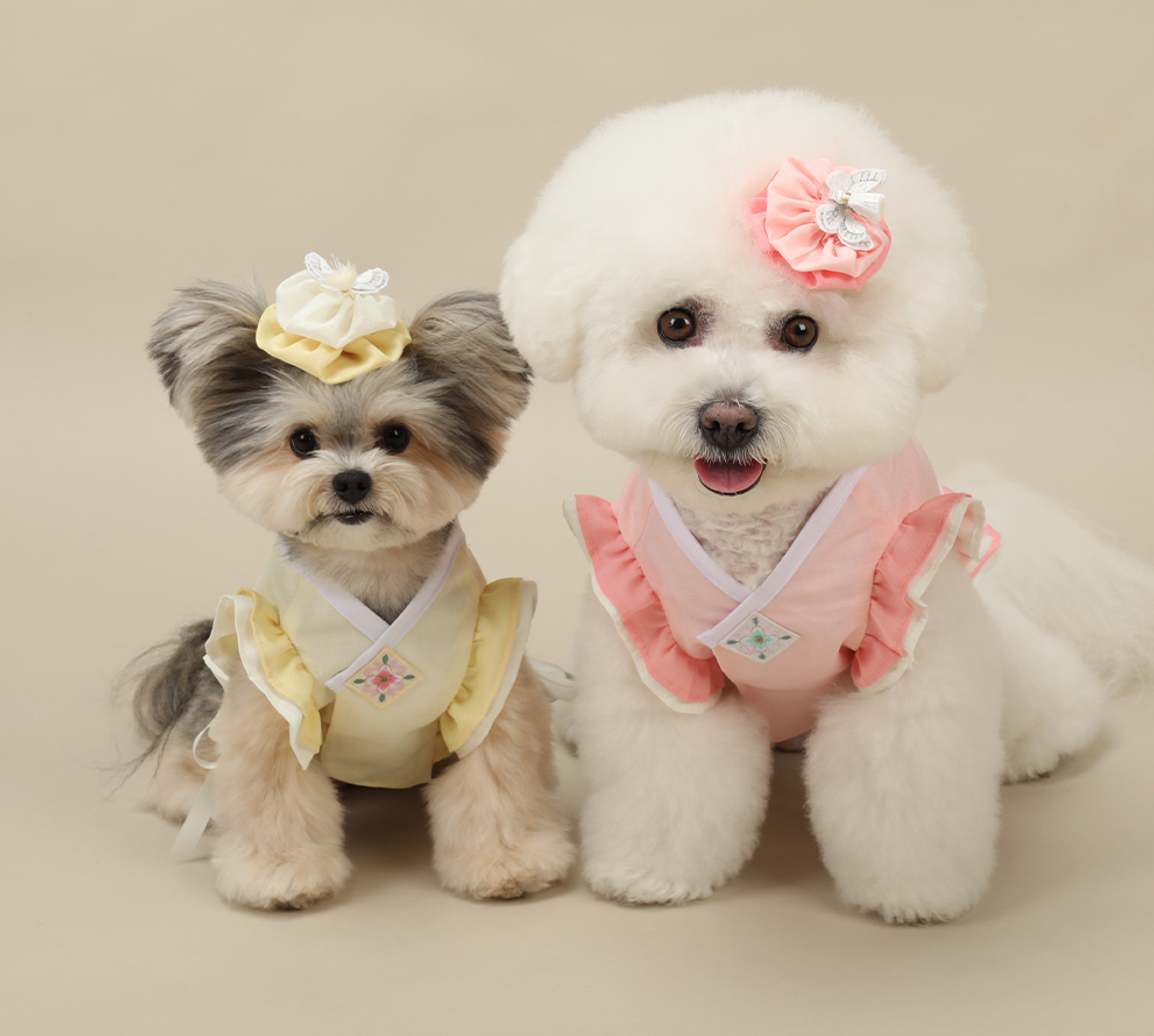 Floral Vest Pet Hanbok