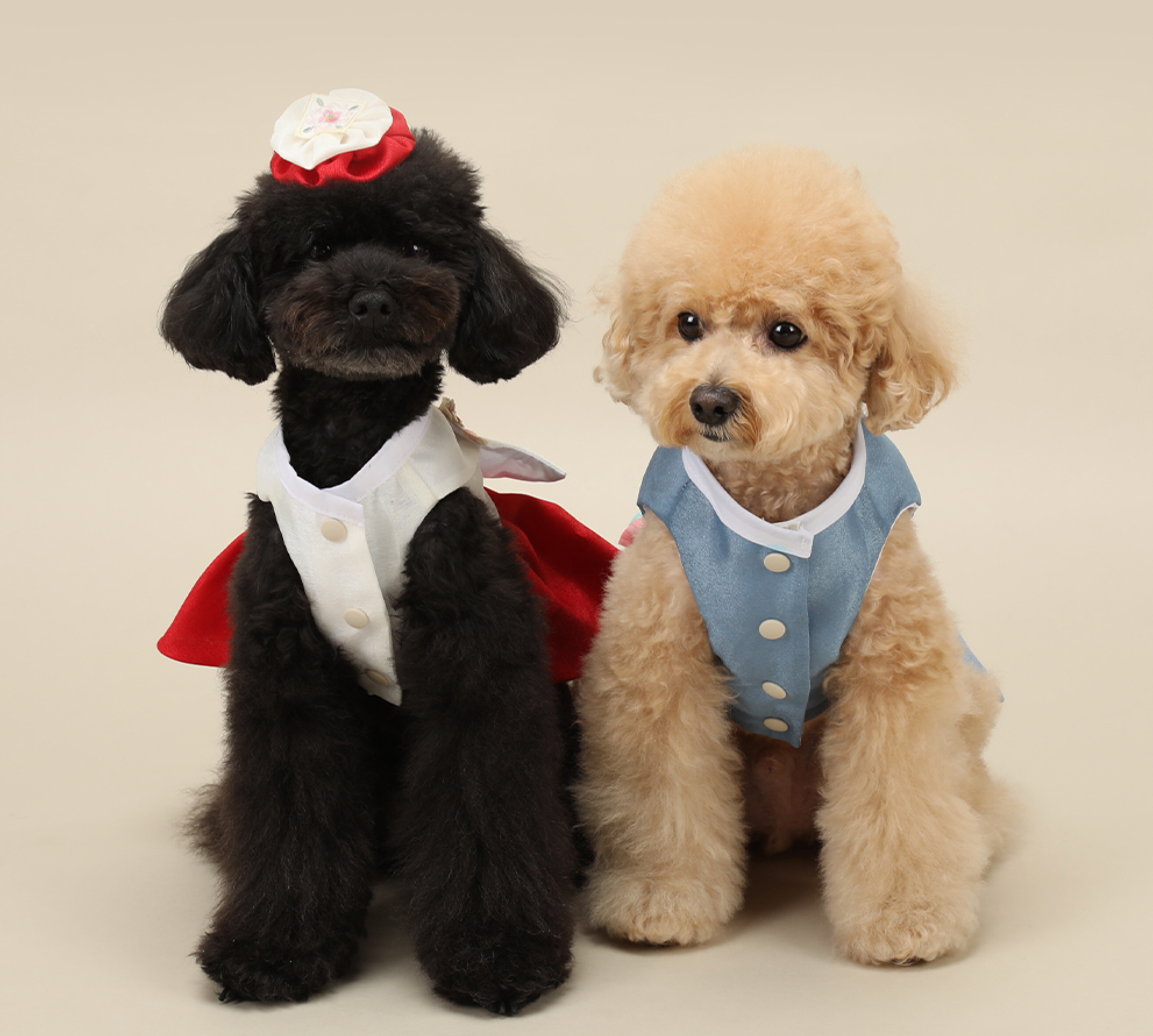 Sky Blue Pet Hanbok
