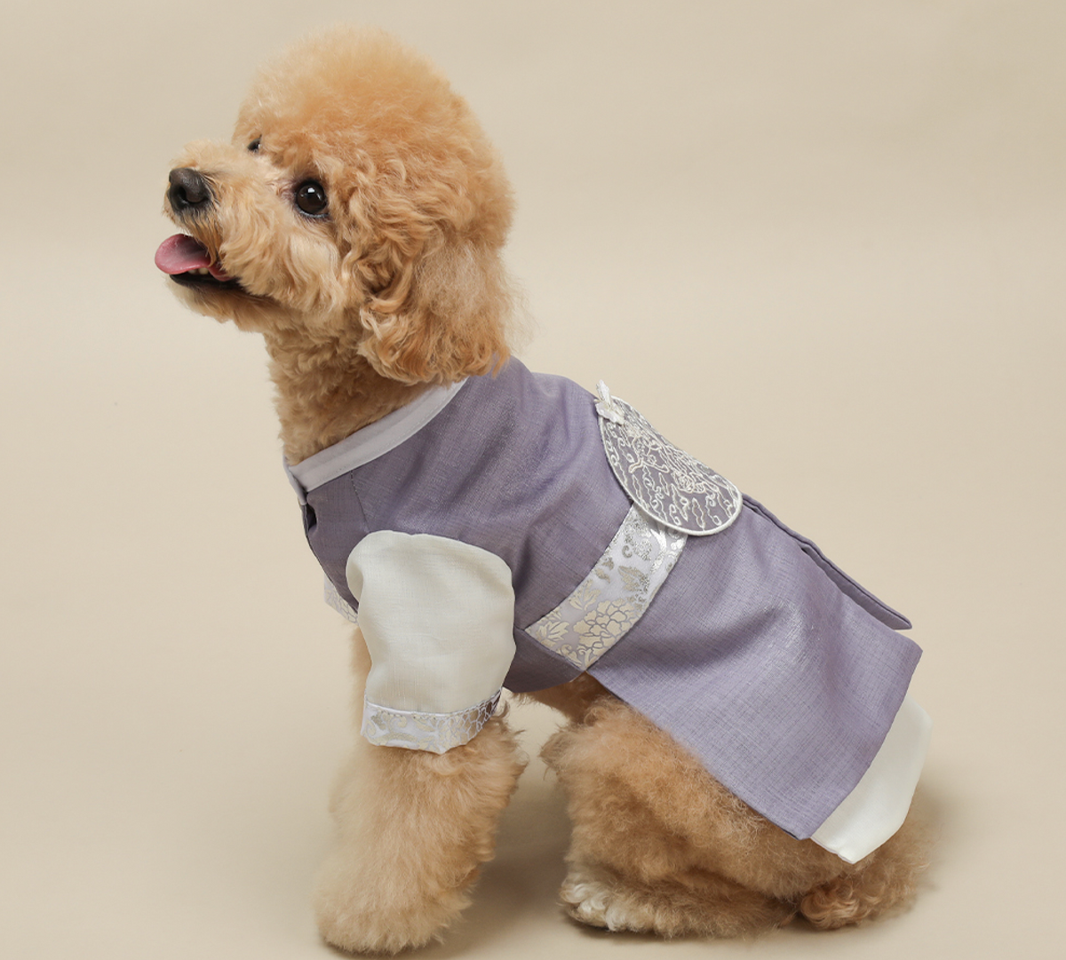 Prince Purple NKpup pet hanbok featuring a lavender vest with white sleeves and silver floral accents