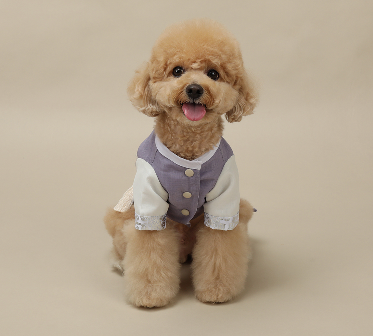 Prince Purple Pet Hanbok
